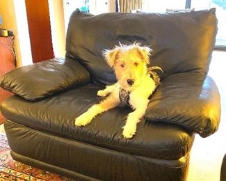 Natuzzi leather chair (dog NFS 😊)
Dimensions: 42”W x  32”D x 15”H (to seat) x  31.5”H (back of chair)
Price: $325