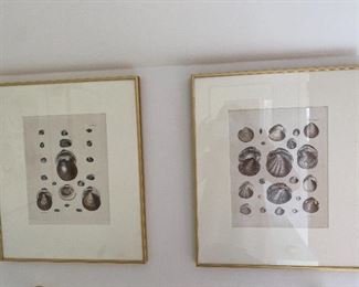 Two Large Framed Book Illustrations 16” x 19” each $60 for set