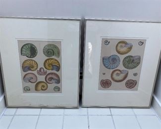 Two Large Framed Book Illustrations 16” x 14” each $60 for set