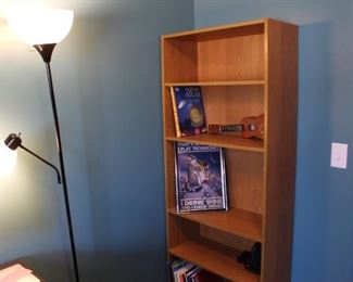 Bookcases and lighting