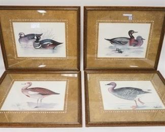 1110	LOT OF FOUR FRAMED & MATTED DUCK PRINTS 21 1/2 IN X 17 1/2 IN INCLUDING FRAME 
