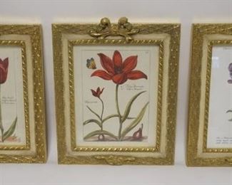 1114	GROUP OF THREE ROBERT GRACE FRAMED BOTANICAL PRINTS. 11 1/4 IN X 13 1/2 IN INCLUDING FRAME

