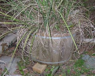 Large Barrel Planter