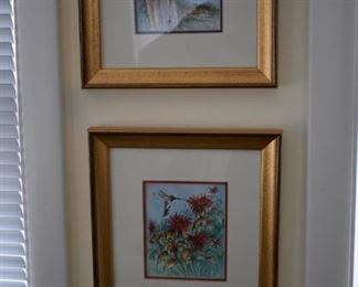 Beautiful Framed and Matted Bird Prints