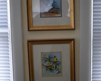 Beautiful Framed and Matted Bird Prints signed by Nancy Doss