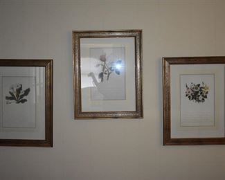 Framed prints of flowers