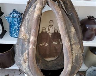 Horse harness, old photo