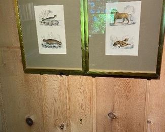 framed animal prints for sale in person