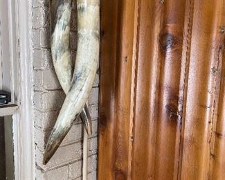 Large Horns