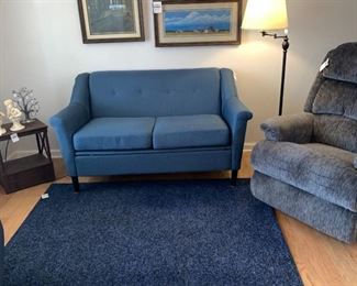 Your run down old furniture giving you the blues?  We've got a practically brand new love seat and reclining lift chair.  And check out the rug - monochrome tonal color schemes are all the rage these days.