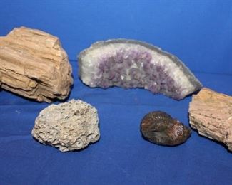 Amethyst Quartz Rock, Petrified Wood & Fossil