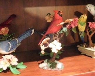 Bird Collection - View All