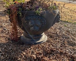 Lions head outdoor planters 