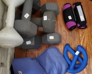 Various weights and dumb bells