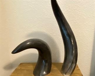 Water Buffalo Horns