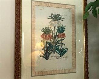 framed botanical prints