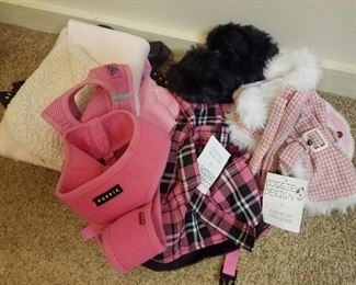 small dog items