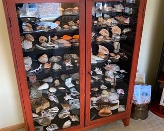 Shell collection & cabinet