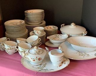 Albion China - 12 pc setting, serving pieces, platters - all in excellent condition