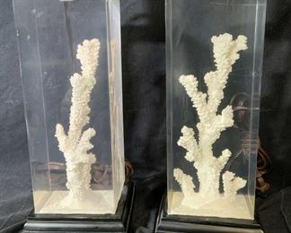 Pair White Coral Table Lamps
