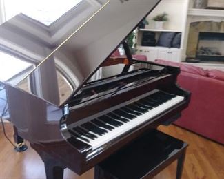 Christofori Baby Grand piano