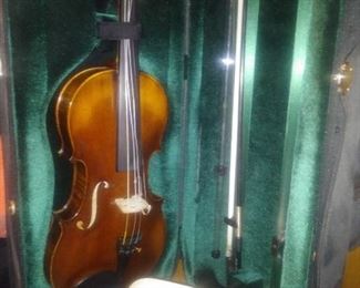 Violin