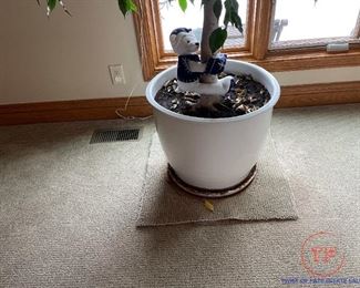 6 1/2' Ficus Tree in Planter