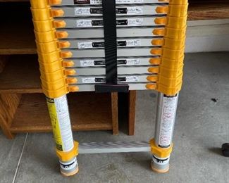 Xtend & Climb Home Series Telescoping Ladder