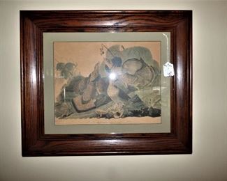 Framed Audubon prints
