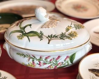 Spode