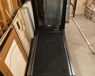 True treadmill S.O.F.T. 500 - working