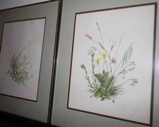 $25 pair. Two framed wild flower prints.