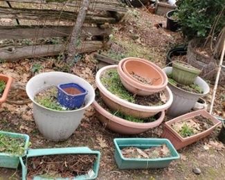 plants, pots, garden