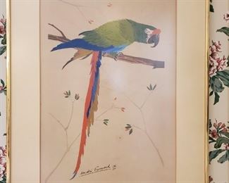 Vintage Andre Fremond signed/numbered parrot litho