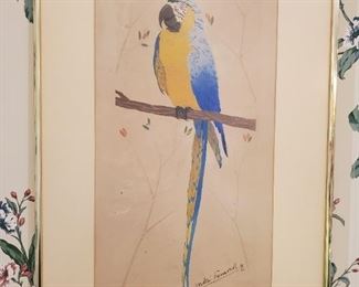 Vintage Andre Fremond signed/numbered parrot litho