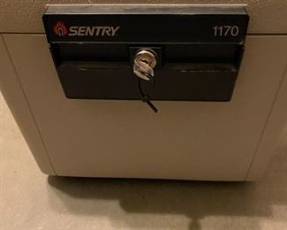 Sentry 1170 Safe