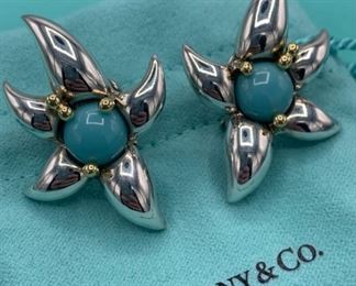 Tiffany 1993 Sterling, 18k Gold, and Turquoise Fireworks Earrings