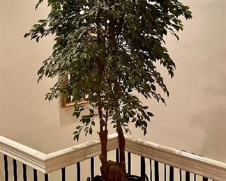 Item 285: Faux Ficus Tree - 20.5" x 98": $125