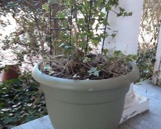 flowerpot