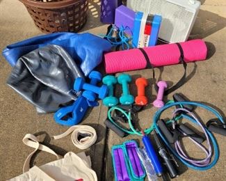 2 yoga mats, resistance bands, small weights. Both box fans are 10" x 10" wide. The balls have the hand pumps to blow them up.

https://ctbids.com/#!/description/share/753030