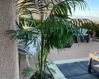 Tall Faux palm