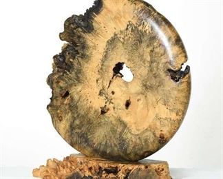 Gorgeous Unique Petrified Wood On Edge Art Piece