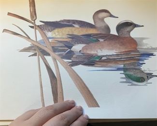 More ducks.