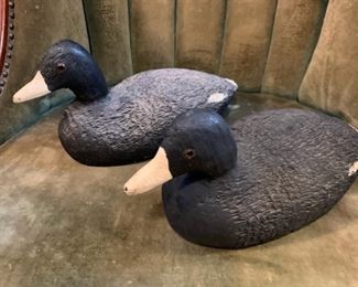 These are the twins, Fred and George.  They're both in pretty good shape.  Based on my googling they appear to be Coots, which is apparently an actual type of duck and not just old man insult.