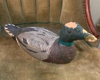 Peter's a hard working Mallard whose not ready to be put up on a shelf. Sure there's a chunk out of his head, and yea he's only got half a beak but he's just as capable as any of his friends here. 