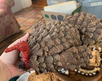 Here's Big Daddy Ray. I have no idea why I named him Ray, it just happened when I was typing. Don't question it just go with it.