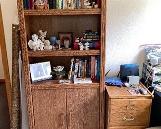 Bookcase, file cabinet