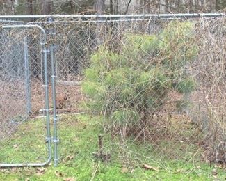 29 - Chain Link Dog Kennel