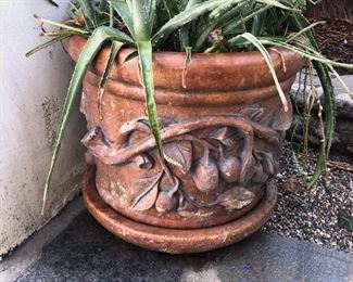 Two Terracotta decorative plant pots with Aloe Vera plants $95 each