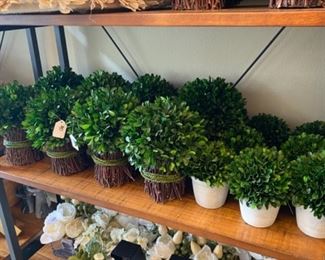 Smith and Hawken Boxwood Bundles
